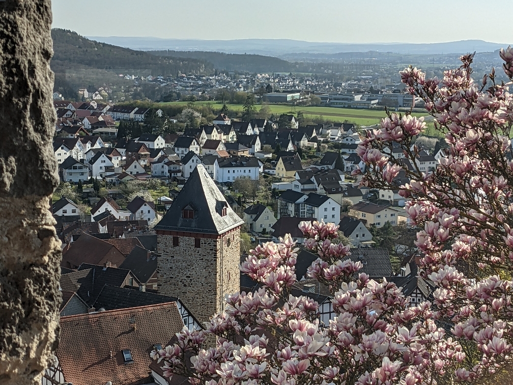 Blick von der Oberburg
                in die Lahnweitung bei Gießen